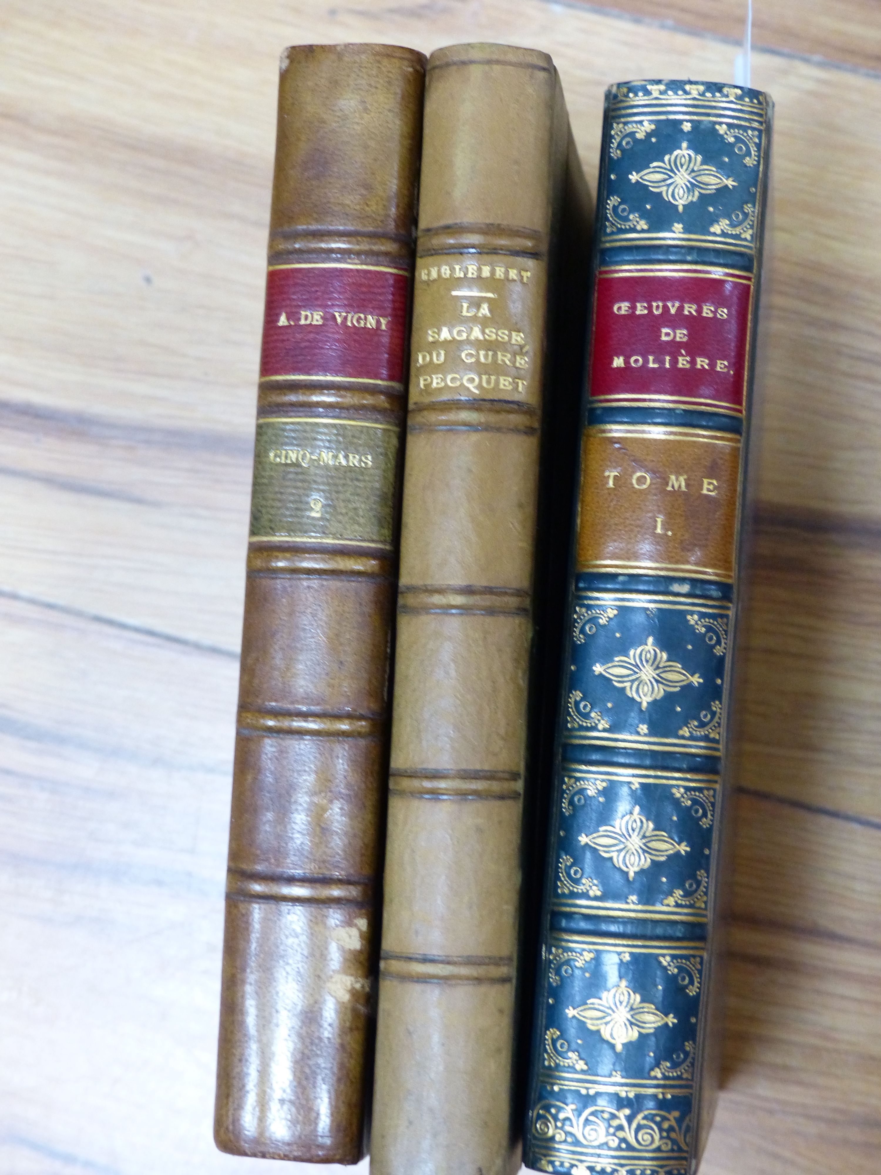 Bindings, etc., European Literature, including Schiller, Victor Hugo, Moliere and others